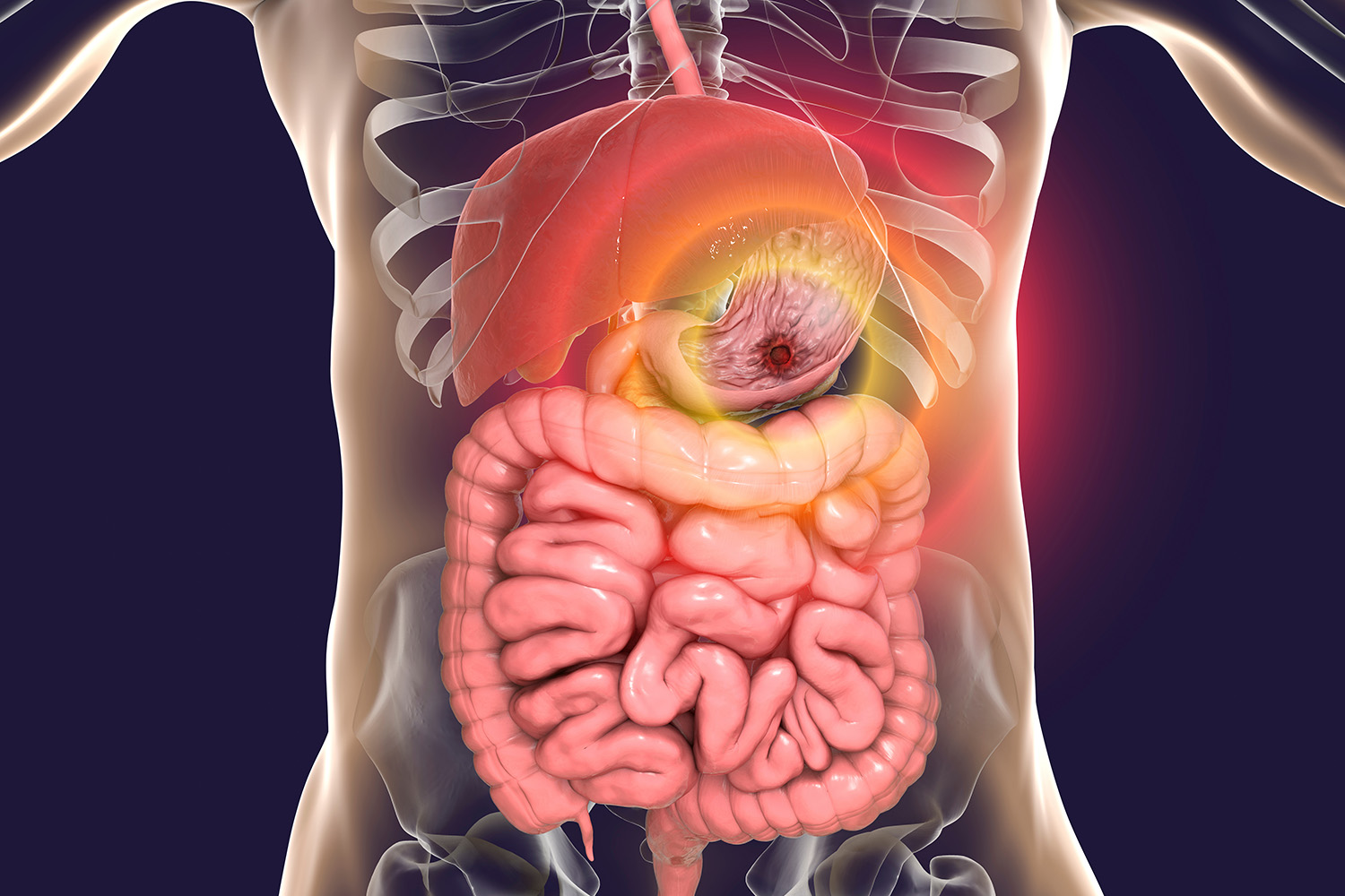 Gastroenterology
